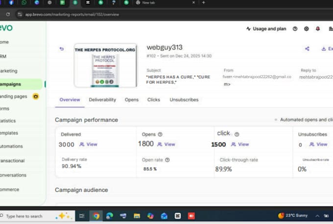 send 100,000 bulk email blast, email campaign and email marketing